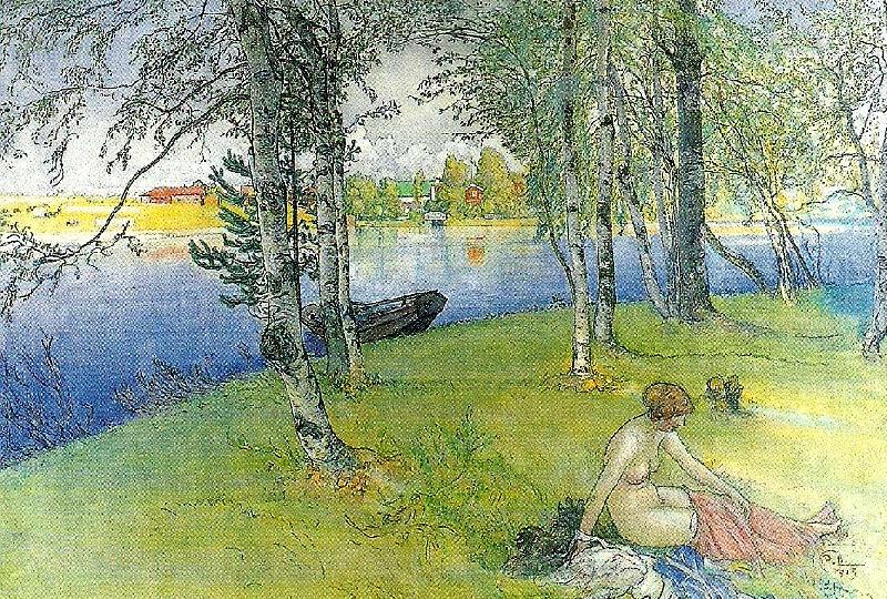 Carl Larsson nakenmodell pa bullerholmen-sommardag